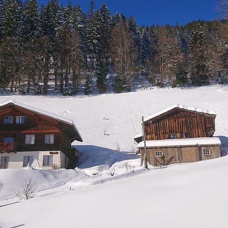 Kaenzeli - Ferienwohnung Mit Traumaussicht Beatenberg Exterior foto